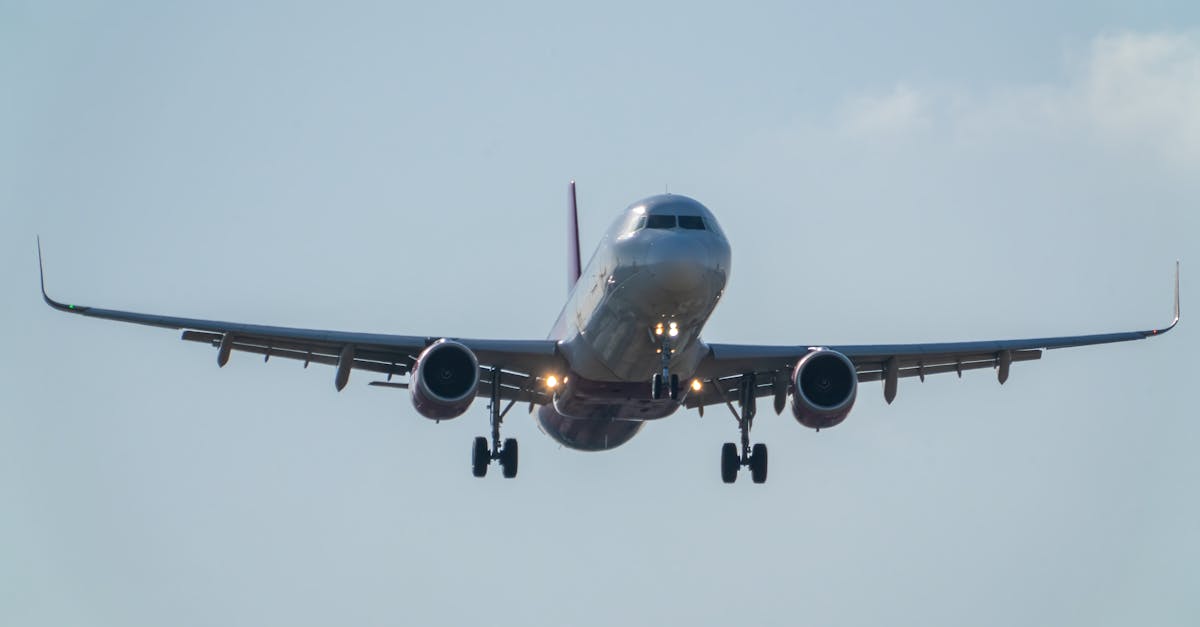 informations essentielles sur l'immobilisation temporaire des airbus a320 : causes, impact sur le trafic aérien et mesures prises par les compagnies.