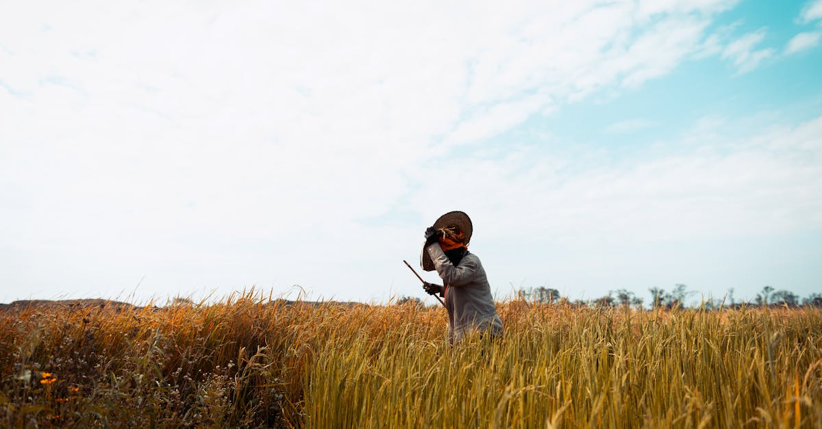 découvrez les vols directs d'etihad airways entre calgary et ses destinations internationales, alliant confort et rapidité pour vos voyages.