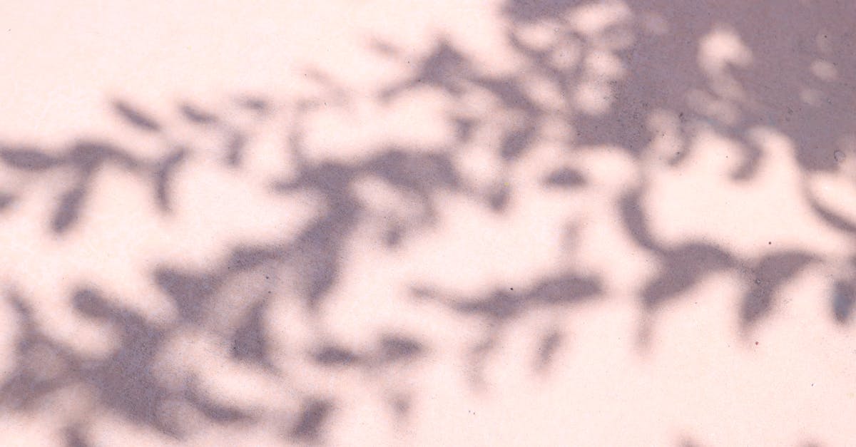 découvrez les actualités et informations essentielles sur benjamin netanyahu, homme politique israélien et figure majeure de la scène internationale.