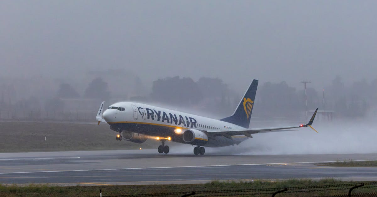 découvrez les raisons de la suspension des vols ryanair vers les açores et les impacts pour les voyageurs. mises à jour et alternatives disponibles.