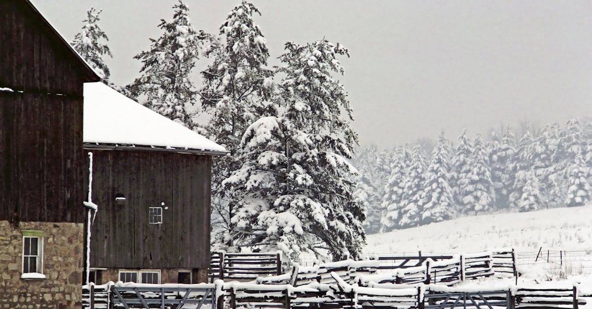 préparez-vous à la tempête d'hiver avec nos conseils essentiels pour rester au chaud et en sécurité pendant les conditions météorologiques extrêmes.